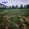 Trisodium Dicarboxymethyl Alaninate (MGDA-Na3) for fertilizer MGDA-Na3 (Trisodium Dicarboxymethyl Alaninate) for fertilizer and agricultural applications