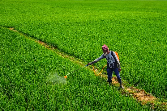 APG 0814 Coco Glucoside Surfactant use in Agricultural Fungicide