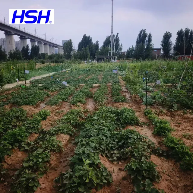 Trisodium Dicarboxymethyl Alaninate (MGDA-Na3) for fertilizer